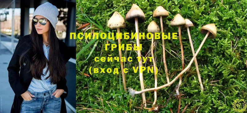 kraken онион  Нытва  Галлюциногенные грибы MAGIC MUSHROOMS 